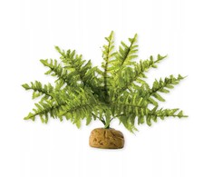 Exo Terra Hagen HAG.ROSL.D/TERRAR.BOSTON GERN 22CM 2990 - 58780