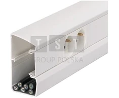 Hager Polo GBD5010009016 tehaselit.GBD Elektros instaliacijos kanalas 50x100mm baltas GBD5010009016 /2m
