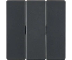 Hager Polo 16656086 Raktai 3 krypčių jungikliui antracitinis aksomas Q.1/Q.3 16656086