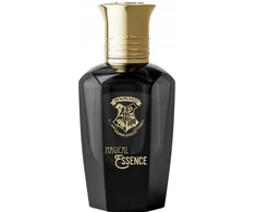 Harry Potter Magical Essence Ambition EDP parfumuotas vanduo vyrams, 50 ml