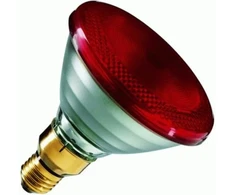 Helios Ruby infraraudonųjų spindulių šildytuvas 175W 230V E27 PAR38RB 500K (PRO-2186)