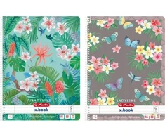 Herlitz Herlitz 50044245 sąsiuvinis A4 80 lapų Įvairių spalvų