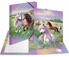 Herma HERMA 20117 aplankalas Kartonas Įvairiaspalvis A4