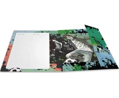 Herma HERMA kolekcijos aplankai, kartoniniai, A4 formato, gatvės futbolo