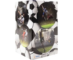 Herma HERMA Stifteköcher Fussball indas na długopisy