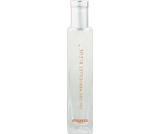 Kvepalai moterims Hermes Eau Des Merveilles Bleue EDT, 15 ml