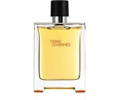 Hermes Terre D'hermes Eau De Perfume Purškiklis, 75 ml
