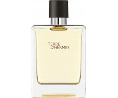 Hermes, Terre d'Hermes, Eau De Toilette, For Men, 100 ml