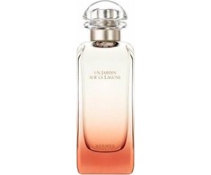 Hermès EDT 100 ml