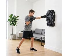 ELECTRONIC BOXING TARGET WITH BLUETOOTH, MUSIC AND GLOVES TB13 HMS