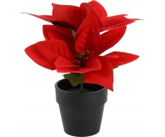 Home Styling Collection Dirbtinė Betliejaus žvaigždė vazonėlyje, aukštis 18 cm