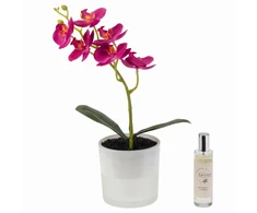 Home Styling Collection Dirbtinė orchidėja stiklinėje vazone su LED apšvietimu ir kvapų purškikliu, aukštis 30 cm