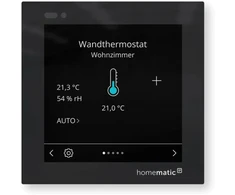 HomeMatic IP Wyświetlacz stiklinis - plus (161937A0)