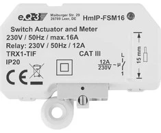 eQ-3 HomeMatic IP Homematic IP perjungimo matavimo pavara (16A) - montuojama į žemę