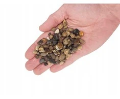HORECA - SUROWCE WIO Elderly Gravel, żwir, dekoracyjny, pilka/juoda/balta, 2kg, maišelis