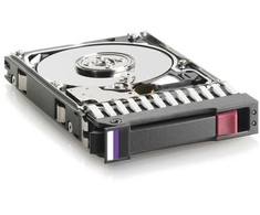 Hewlett Packard (HP) DRV, HD 300G SAS 2.5 DP V2.1 10K-SGT