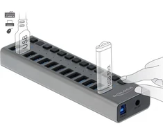 DLC Delock External SuperSpeed USB Hub su 13 prievadų + jungikliu