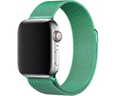 Išmaniojo laikrodžio Apple 2/3/4/5/6/SE magnetinis Hurtel dirželis, Žalios spalvos, 42/44mm