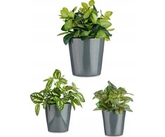 Ibergarden Rinkinys keraminiai vazonai kūginiai, 3 vnt.
