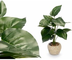 Ibergarden dirbtinis augalas FILODENDRON, 40 cm