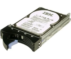 IBM 600 GB 2,5 colio SAS-2 (6 Gb/s) serverio diskas (49Y6177)