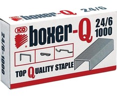 Sax Sąsagėlės 24/ 6 Boxer Ico