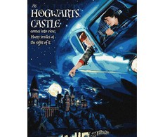 Ideyka Tapyba pagal skaičius: "HARIS POTERIS" skrydis automobiliu Warner Bros 40x50 dėžutėje