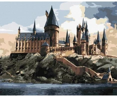 Ideyka Tapyba pagal skaičius: "HARIS PORETIS" Hogvartas dieną Warner Bros 40x50 dėžutėje