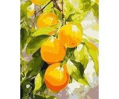 Ideyka Paveikslas pagal skaičius - Sultingos citrinos 40x50cm
