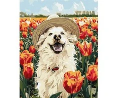 Ideyka Tapybos pagal skaičius rinkinys „Laimingas labradoras“ 40x50 AP0042