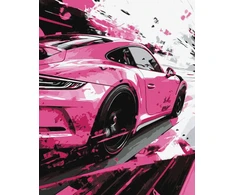 Ideyka Art Active *****Malow.po num.40x50 Rožinė styl 80627