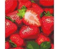 Ideyka Paveikslas pagal skaičius - Sultinga braškė 25x25cm