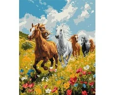 Art Active *****Malow.po num.40x50 Polowa harmonia 58763