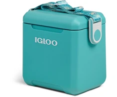 Šaldytuvas IGLOO Tag Along Too Remix (10 litrų) vienas dydis