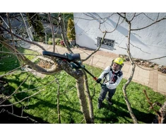 Grandininis pjūklas Aukštapjovė pjūklas Metabo MS 18 LTX 15 Set; 18 V (be akumuliatoriaus ir pakrovėjo)