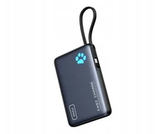 Iniu PowerPaw 10K