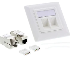 InLine® Cat.6A dėžutė, įleidžiama į žemę 2x RJ45 balta RAL9010