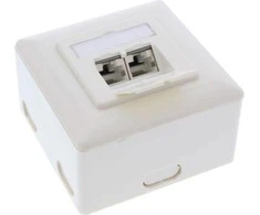 InLine Kištukinis lizdas, 2x RJ45, balta (76842W)