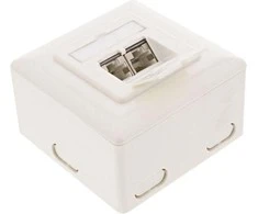InLine Kištukinis lizdas (6 kat.), 2x RJ45, baltas (75602K)