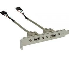 InLine Vadovaukitės 2x USB 2.0 A tipo moteriai (33390)