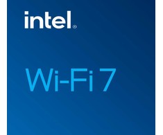 Tinklo plokštė Intel WI-FI 7 BE202 2230 2x2 BE+BT Be vPro (BE202.NGWG.NV)