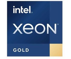 „Intel Xeon Gold 6542Y 24C/48T“ procesorius, 2,90–4,10 GHz, 60 MB, 250 W