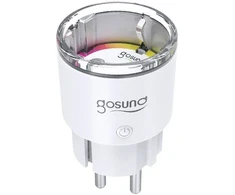 Gosund EP2 10A Smart WiFi Outlet (Matter)
