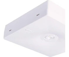 AVARINIAI ŠVIESTUVAI INLEWA-92814 Intelight