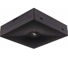 Intelight Ant paviršiaus montuojamas avarinis šviestuvas STARLET QUAD LED SO 150 A 1H MT IP20 BLK / INLEWA 92996