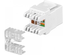 Intellinet 771283 modulis Keystone RJ45 UTP Cat5e, Punch-Down, baltas