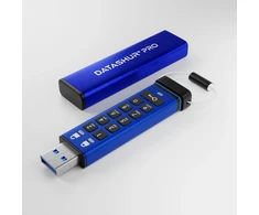 Pendrive iStorage datAshur Pro 128GB (IS-FL-DA3-256-128)