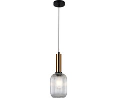 Italux Pakabinamas šviestuvas PND-5588-1M-BRO+CL