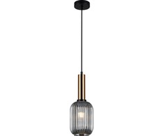 Italux Pakabinamas šviestuvas PND-5588-1M-BRO+SG