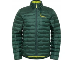 Striukė Jack Wolfskin Passamani Down M A61836-4161